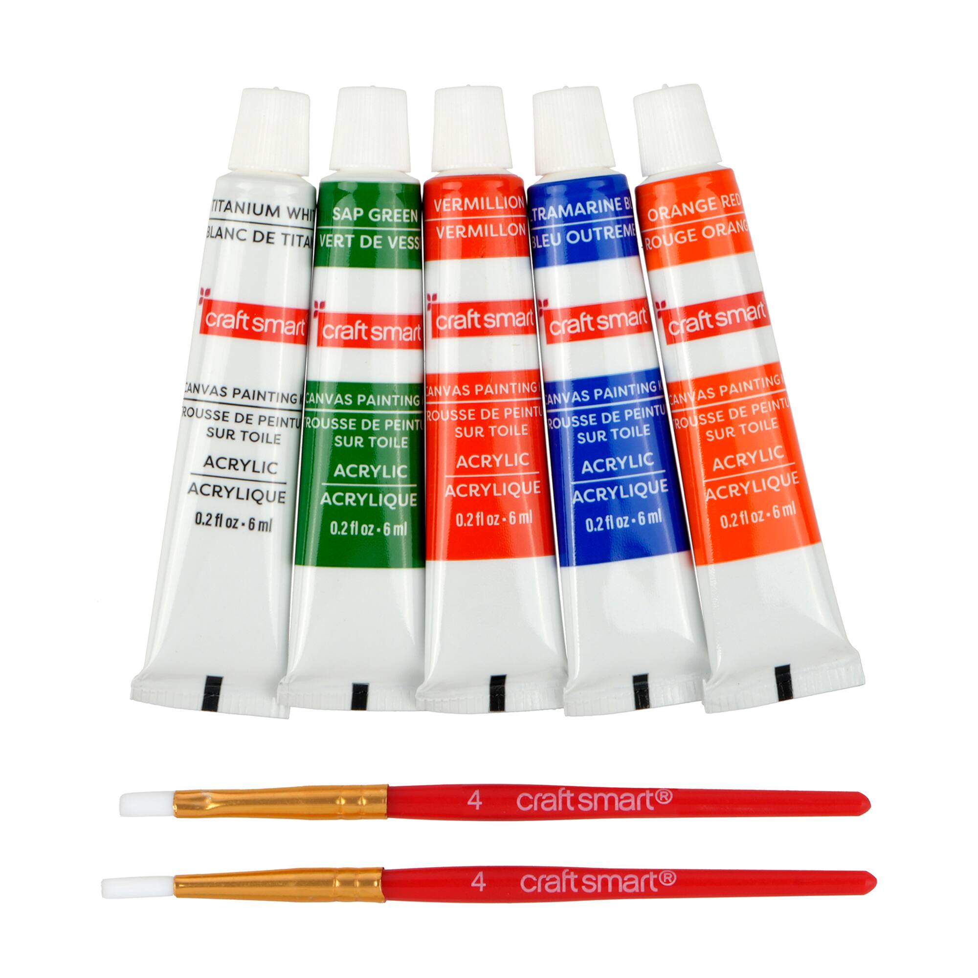 Mini Spring Dog Canvas Painting Kit by Craft Smart®